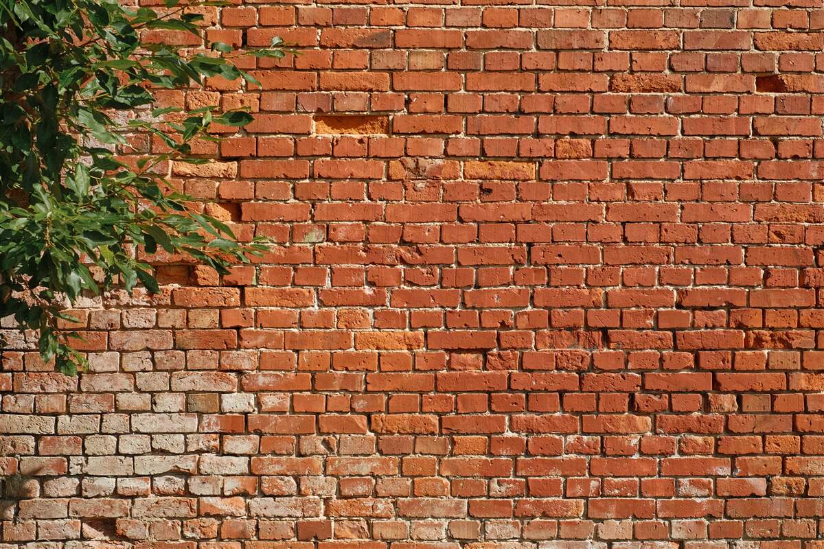 Fototapet o creangă de lemn lângă o barieră de cărămidă