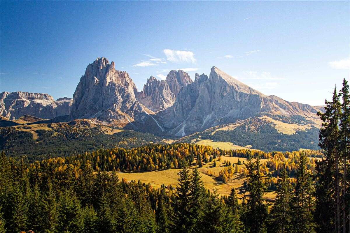 Fototapet pădure densă și munții Langkofel impresionanți