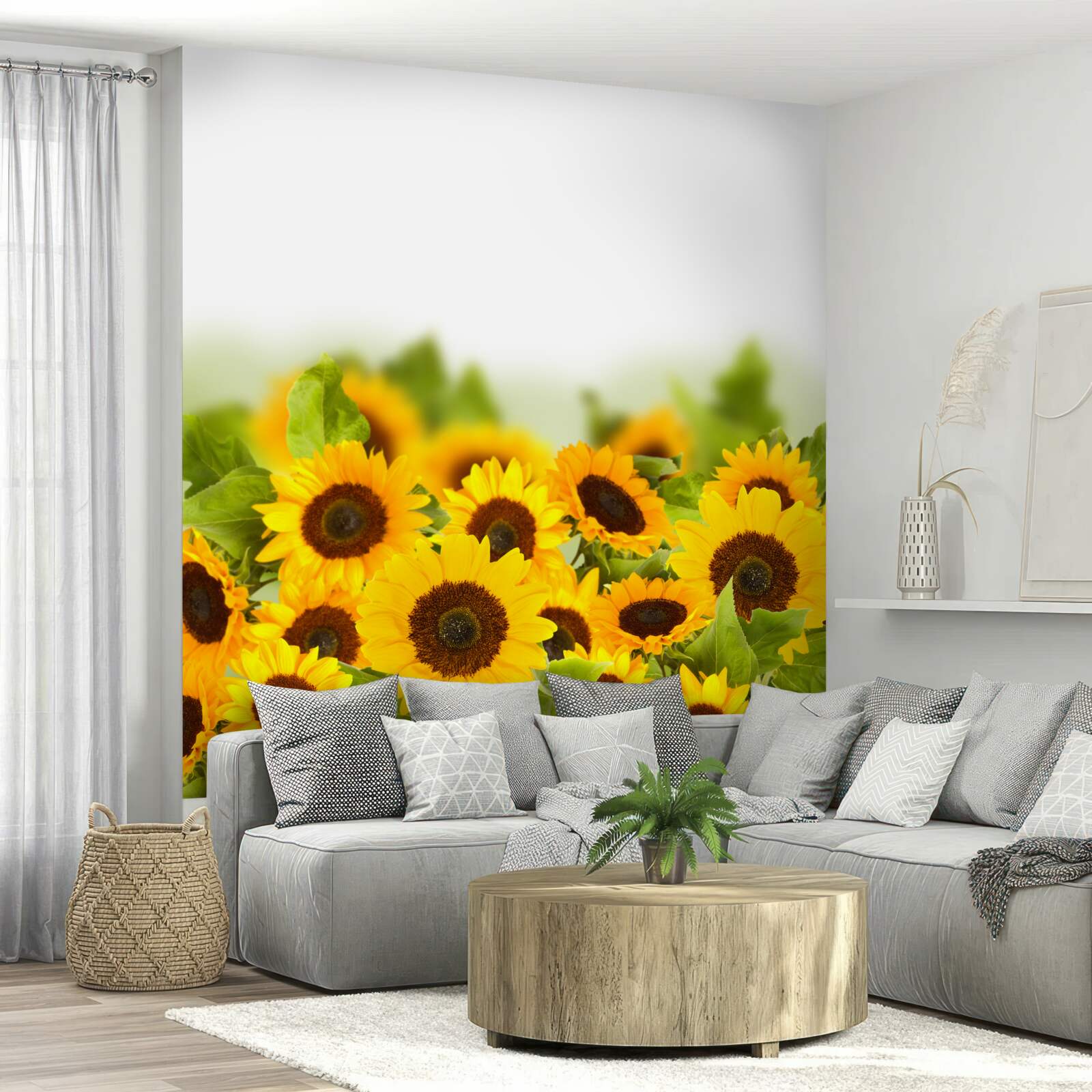 Fototapet câmp decorat cu floarea-soarelui colorată
