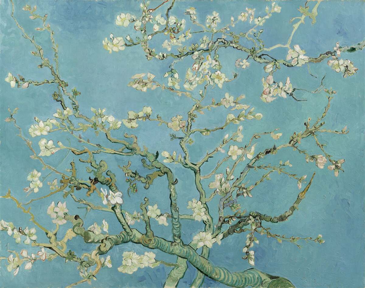 Fototapet Magnolie albă ca zăpada pe un cer azuriu