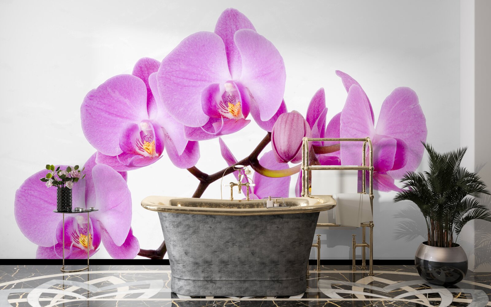 Fototapet orhidee afrodita violet