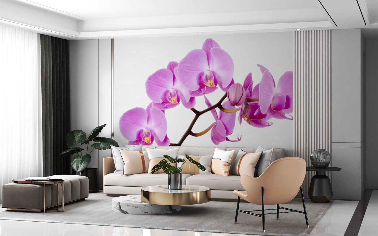 Fototapet orhidee afrodita violet