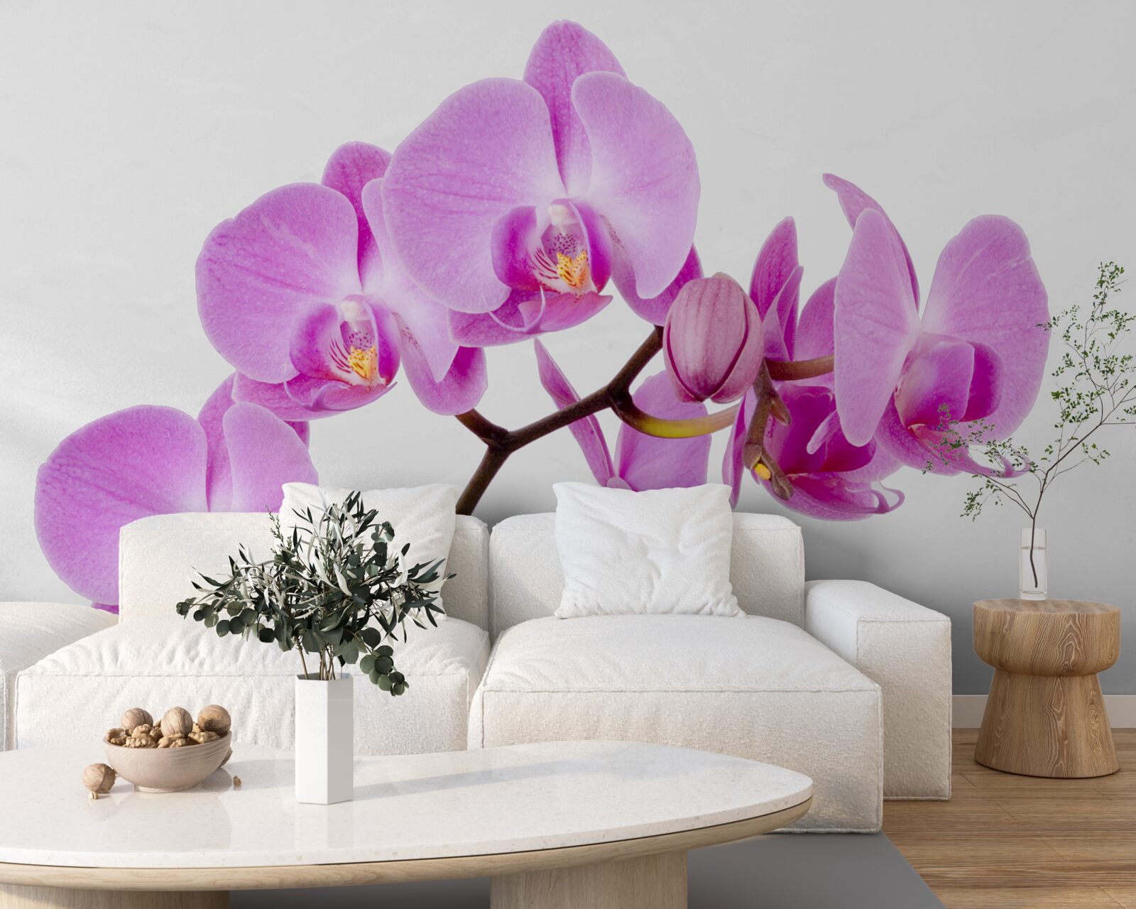 Fototapet orhidee afrodita violet
