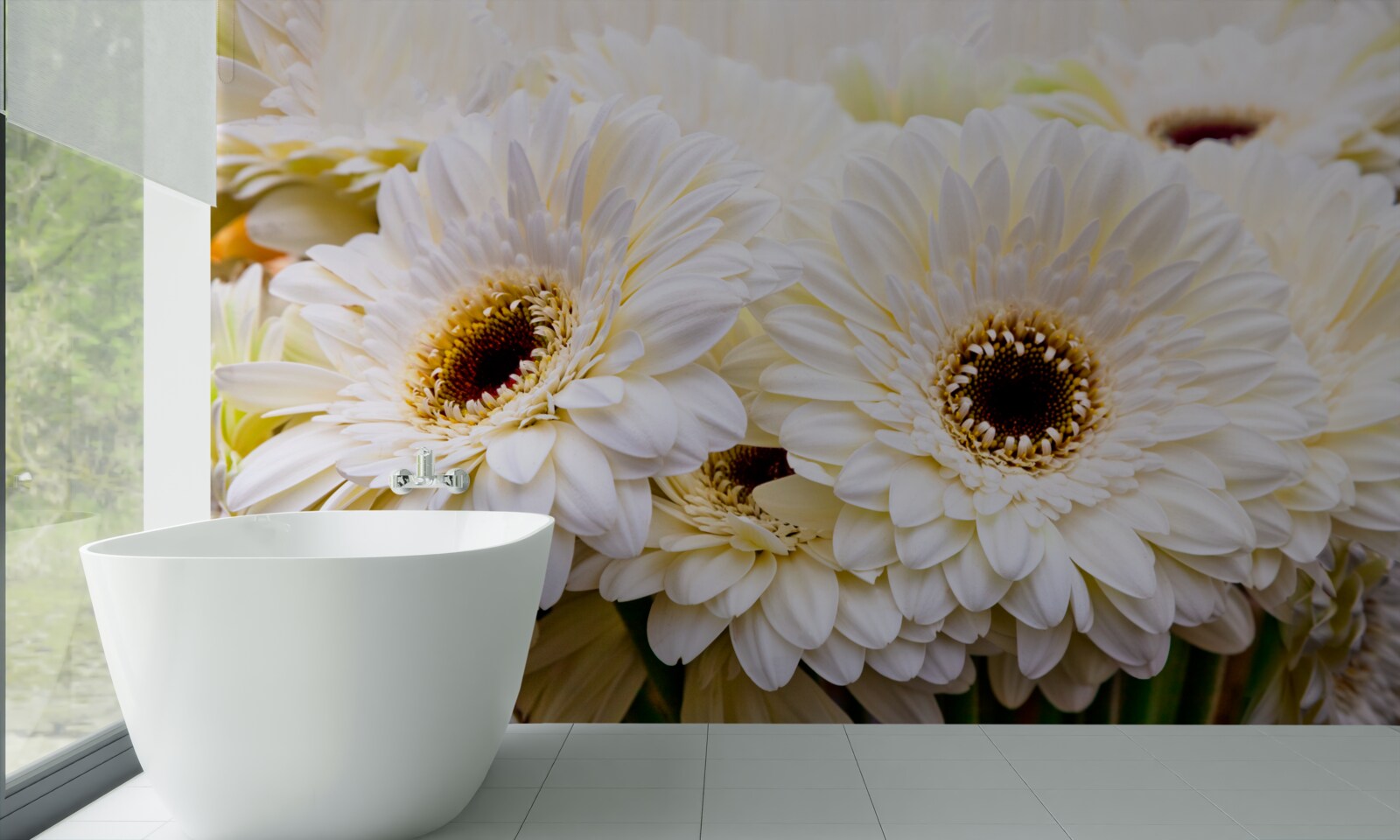 Fototapet colecție de gerbera albe ca zăpada