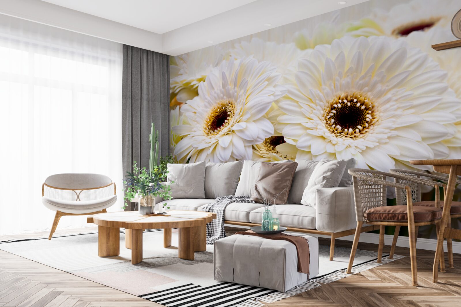 Fototapet colecție de gerbera albe ca zăpada