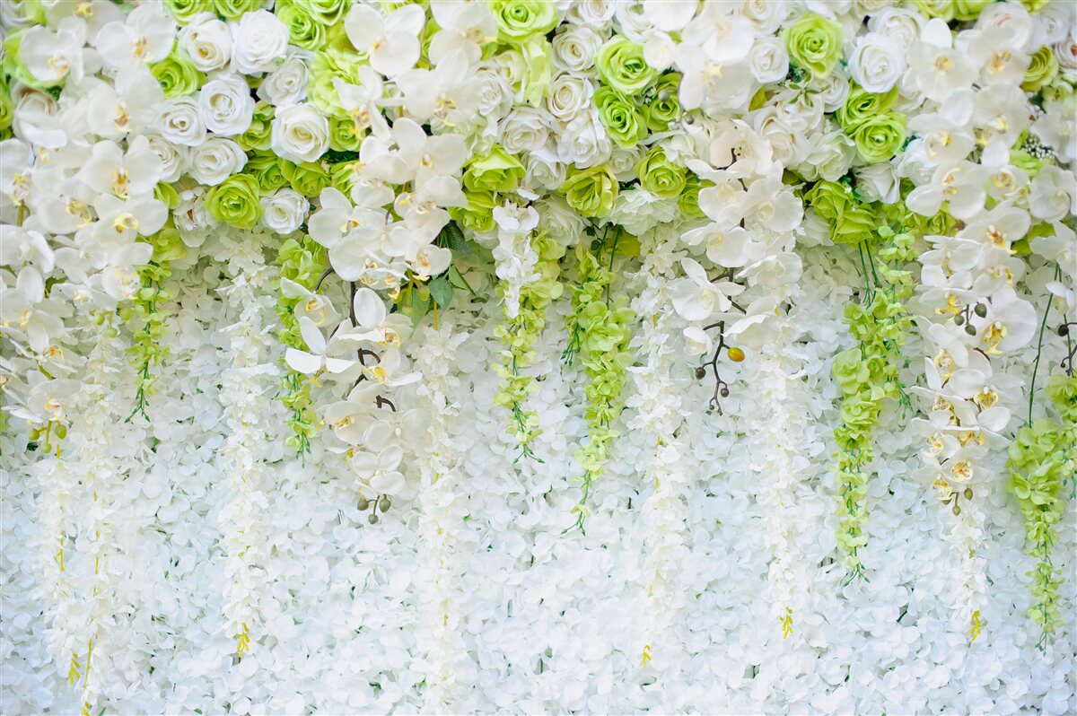 Fototapet orhidee albe au acoperit peretele cu un covor floral