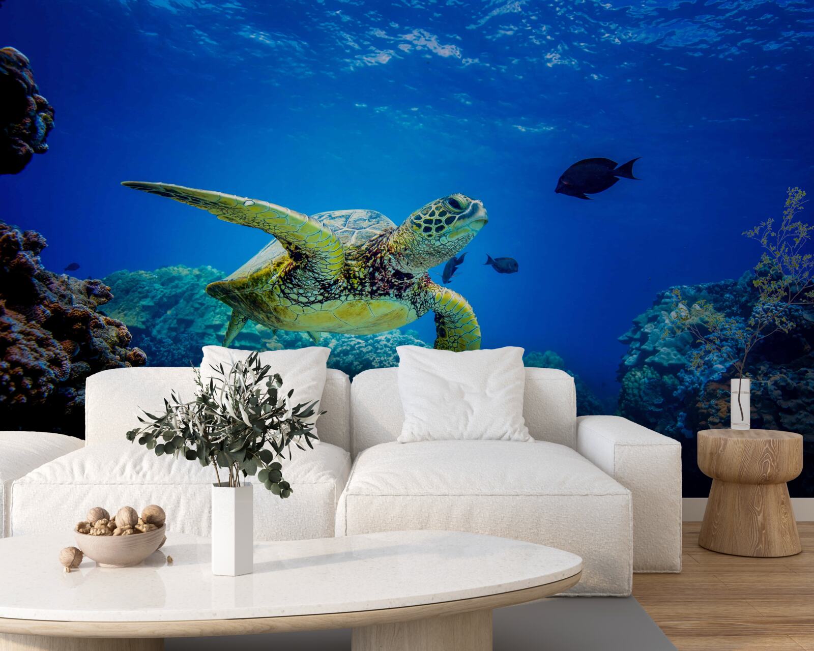 Fototapet țestoasa de mare verde înoată în ocean