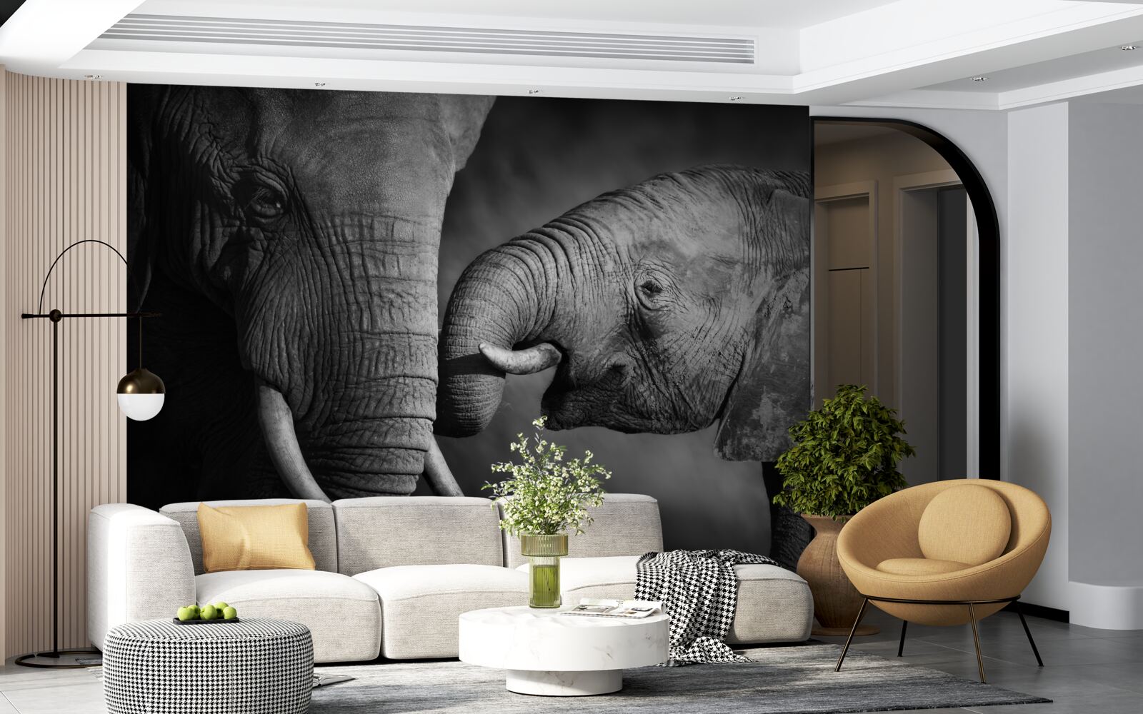 Fototapet puiul de elefant și mama sunt albi și negri
