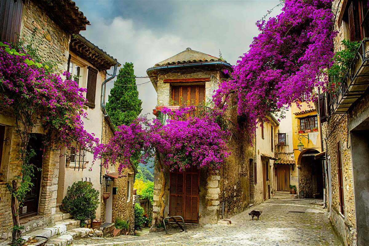 Fototapet o stradă din provence care emană confort și căldură