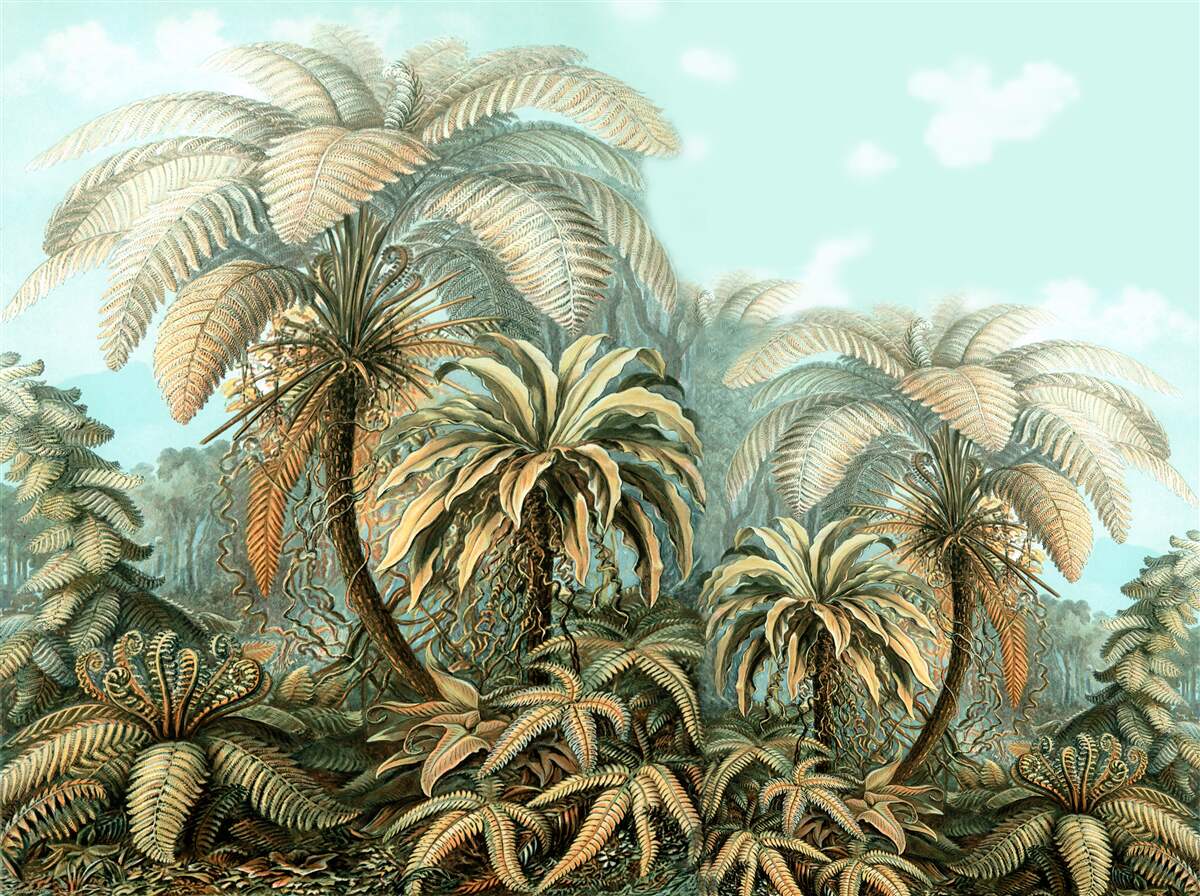 Fototapet copaci tropicali pe o insulă fericită