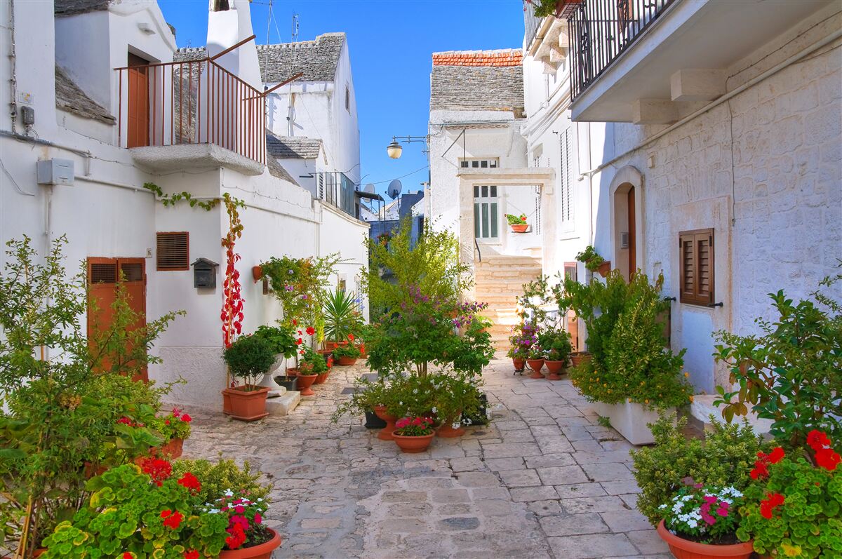 Fototapet strada santorini, cufundată în verdeață