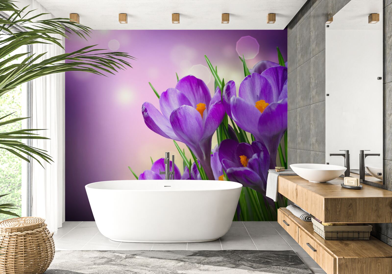 Fototapet crocusuri mov atractive
