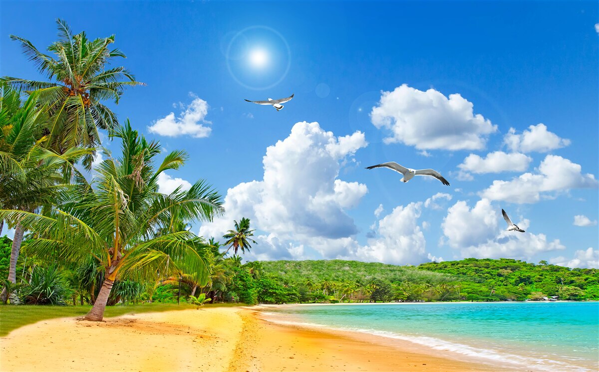 Fototapet insulă tropicală cu o plajă sub soare