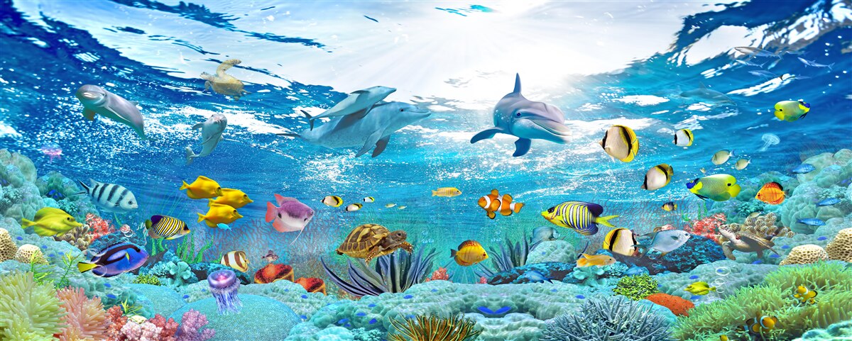 Fototapet uimitorul univers subacvatic