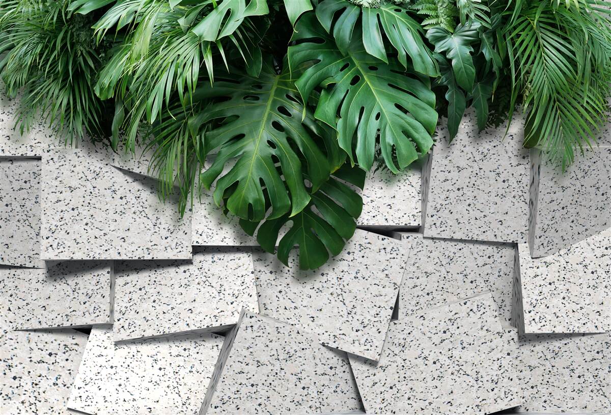 Fototapet monstera într-o atmosferă tropicală pe un fundal gri