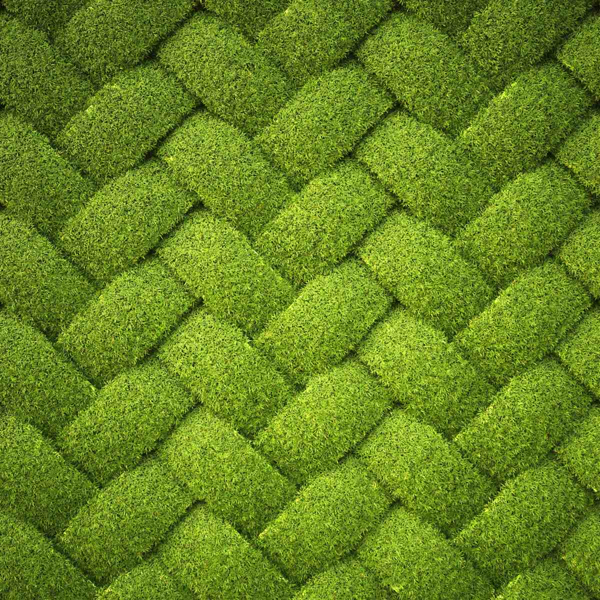 Fototapet blocarea peluzei verzi