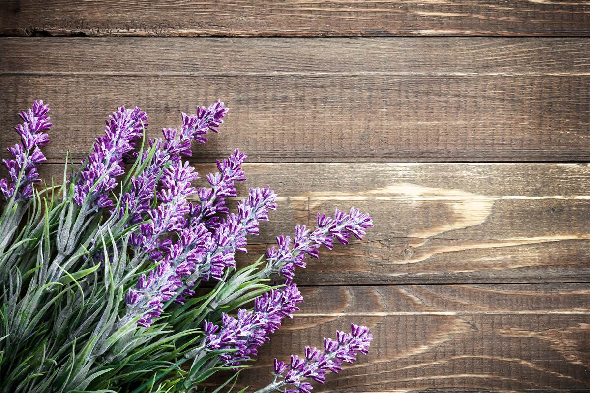 Fototapet ramuri lavanda în fundal cu un copac