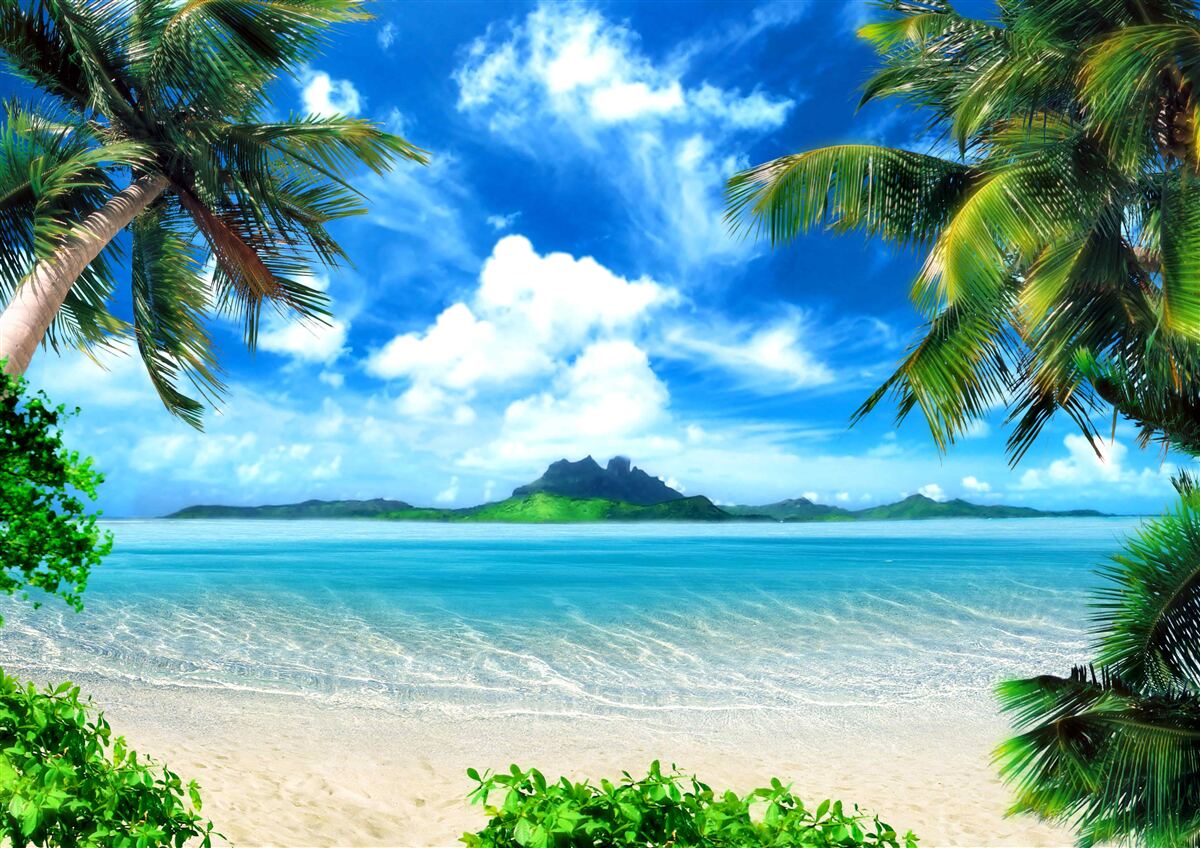 Fototapet paradis la tropice