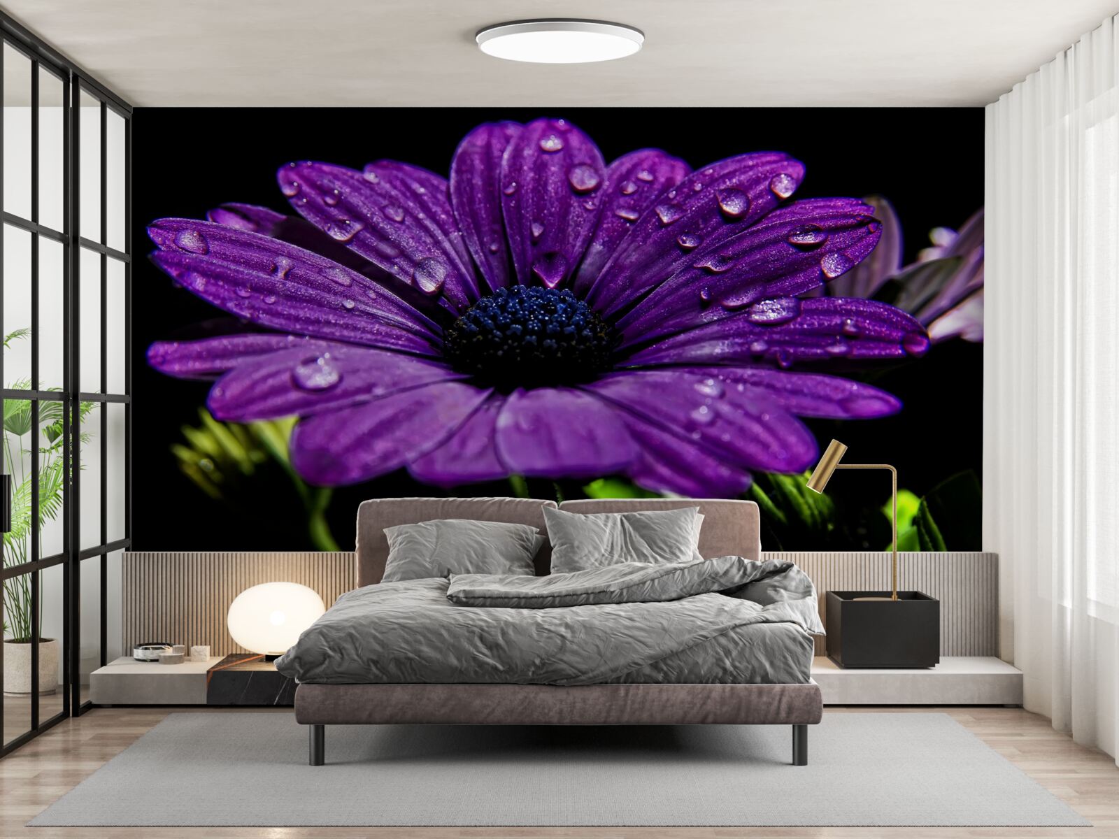 Fototapet picături de apă pe o floare gerbera mov