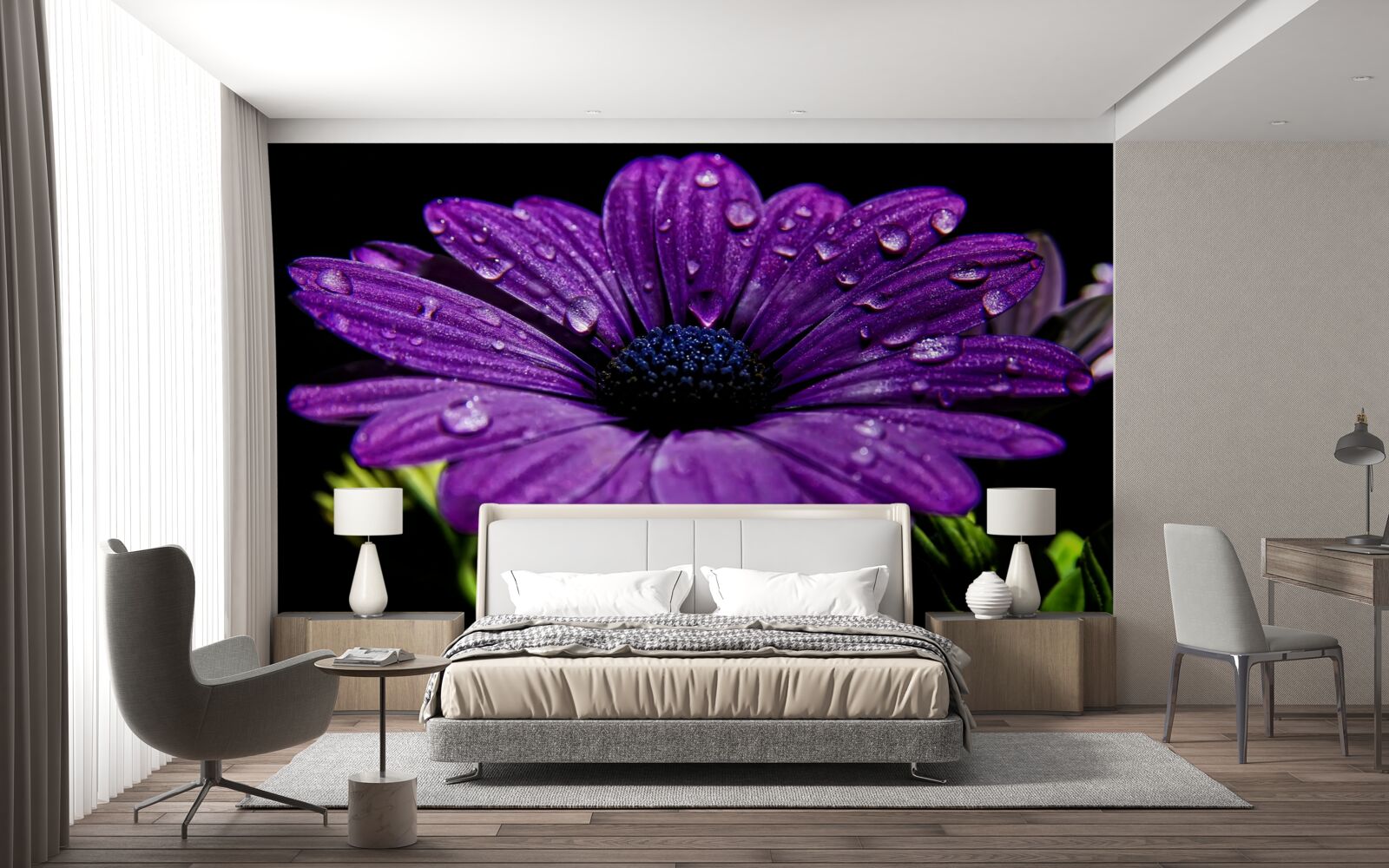 Fototapet picături de apă pe o floare gerbera mov