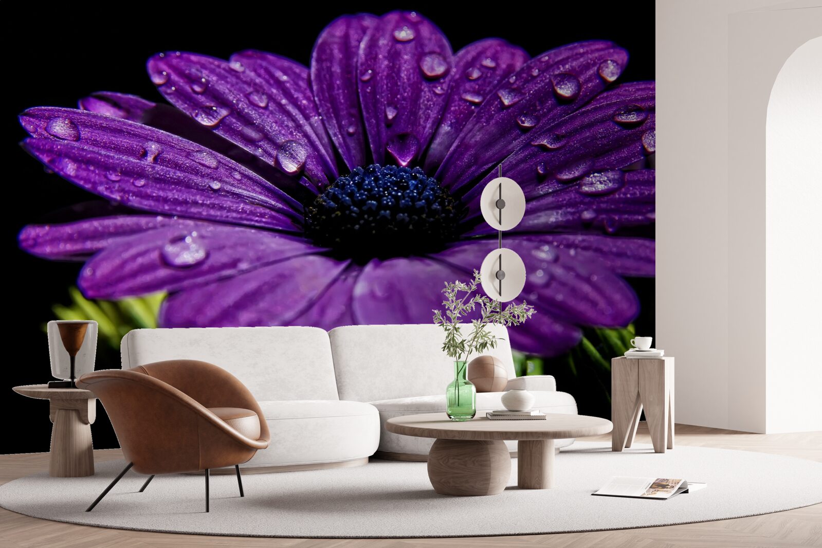 Fototapet picături de apă pe o floare gerbera mov
