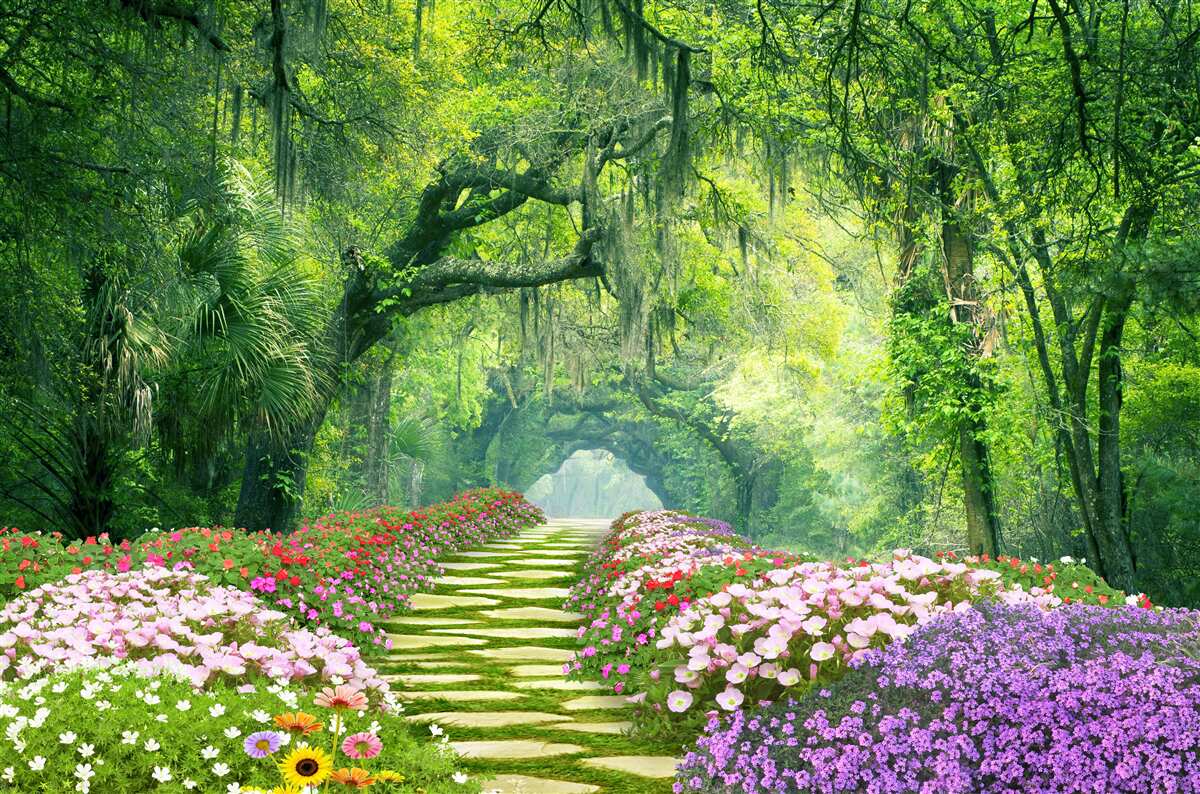 Fototapet O cărare înconjurată de flori care duce la un tufiș verde de pădure