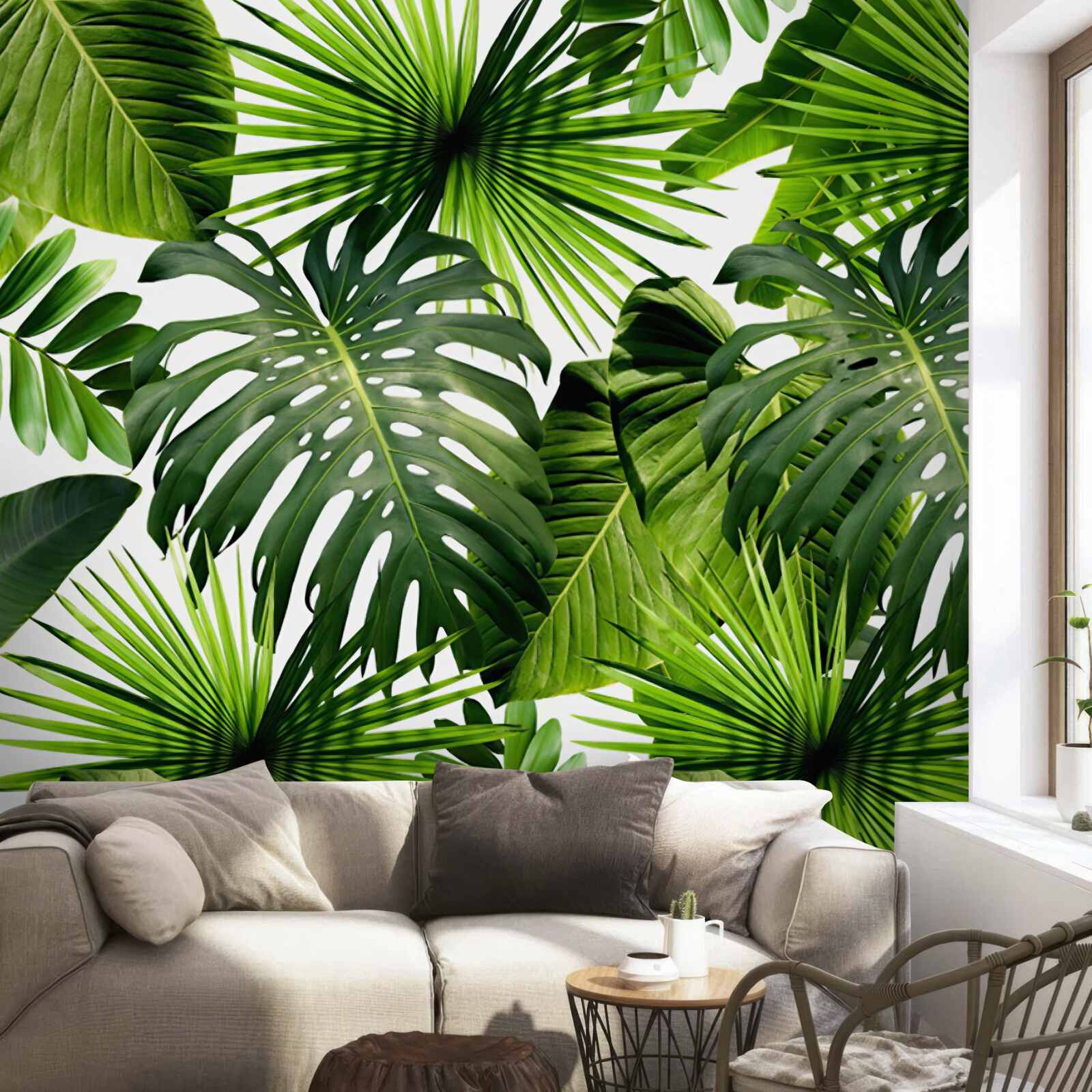 Fototapet monstera și frunze de banane pe un fundal alb, cu densitate