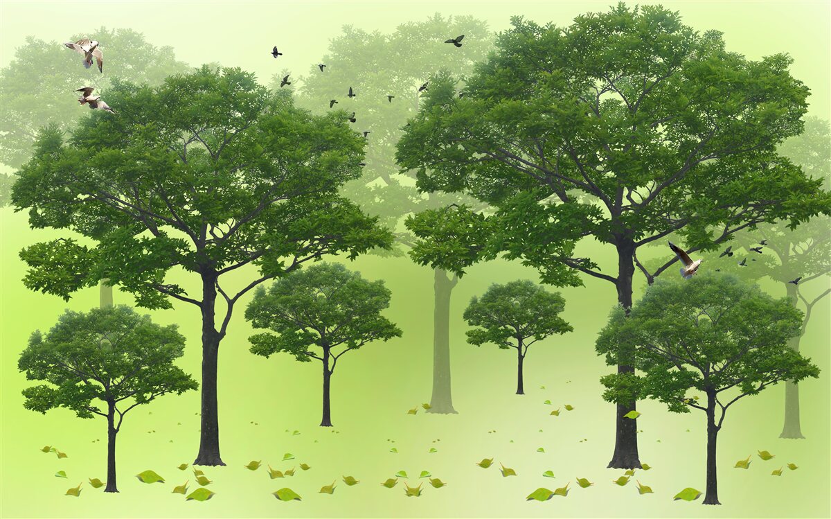 Fototapet pădure de dimineață acoperită cu frunze verzi