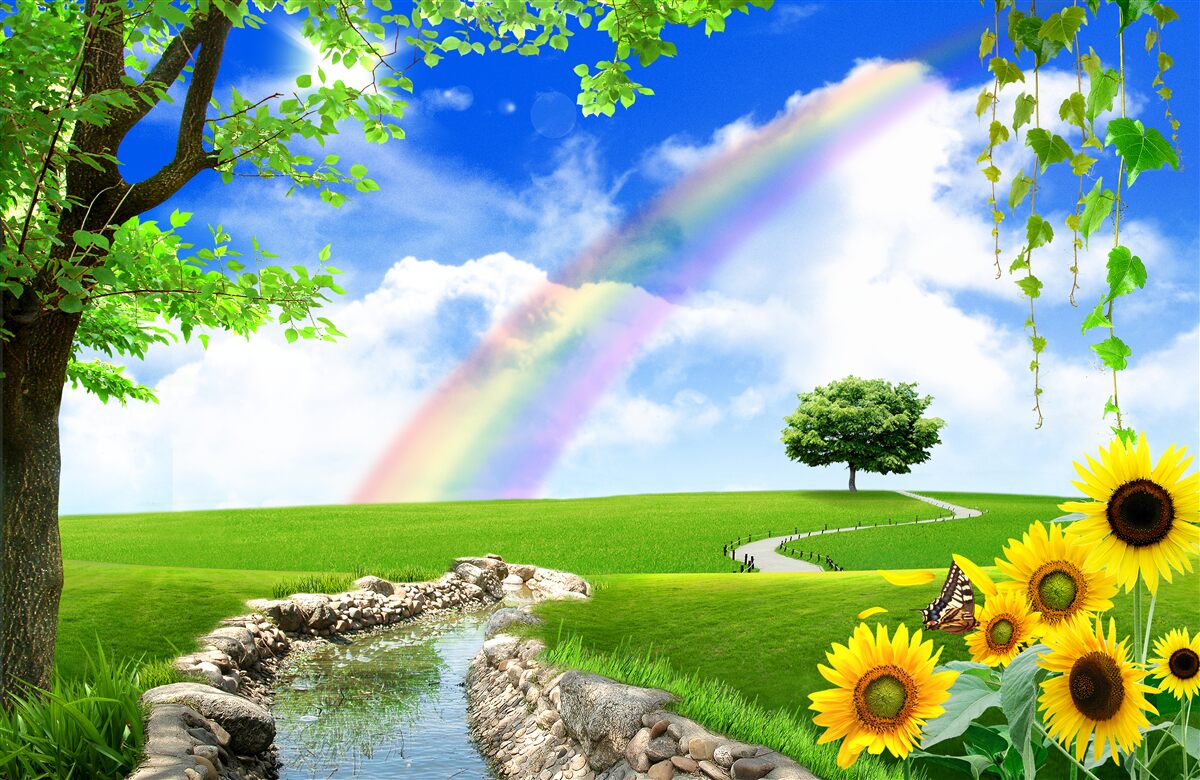 Fototapet strălucire colorată peste o poiană verde