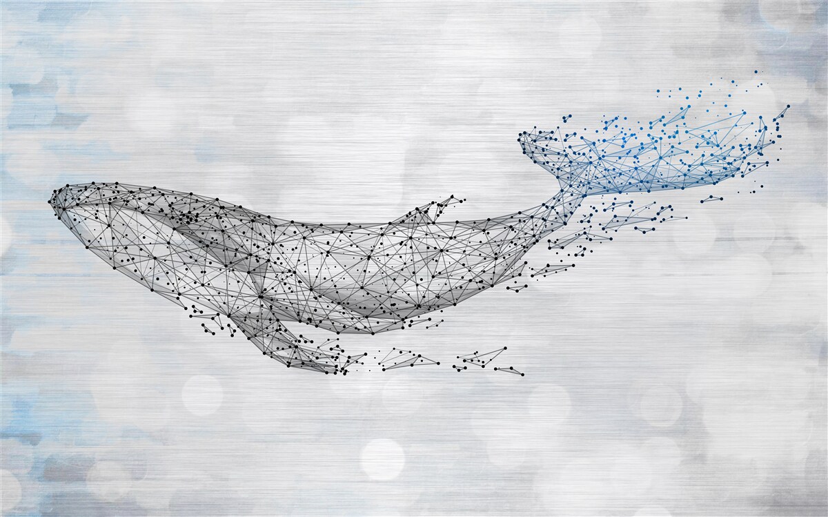 Fototapet balena albă într-o metamorfoză a abstracției