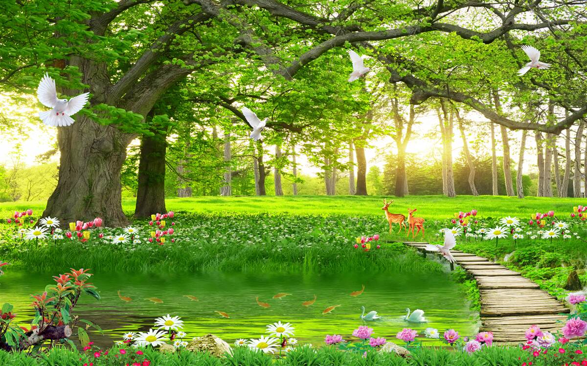 Fototapet în zori, pajiștea însorită este verde
