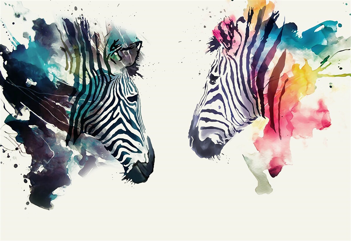 Fototapet două zebre clare din punct de vedere vizual