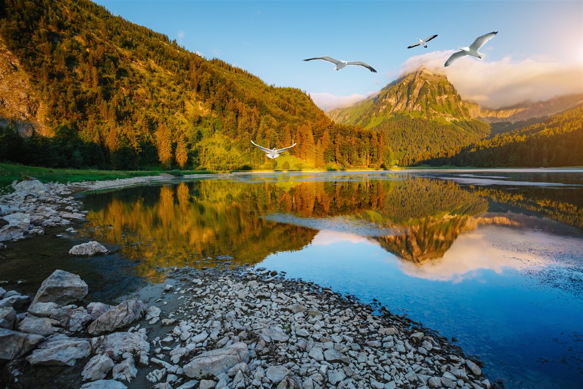 Fototapet păsări zburând deasupra apelor de munte