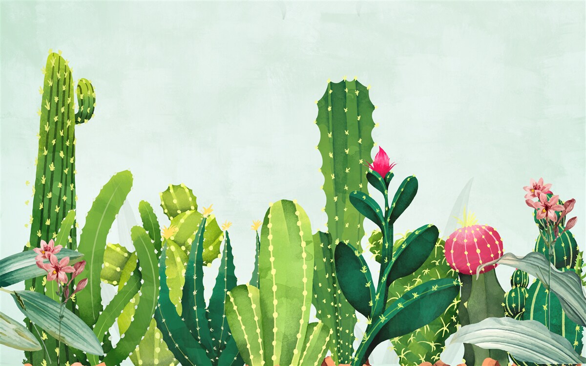 Fototapet cer albastru cu un cadru de cactuși