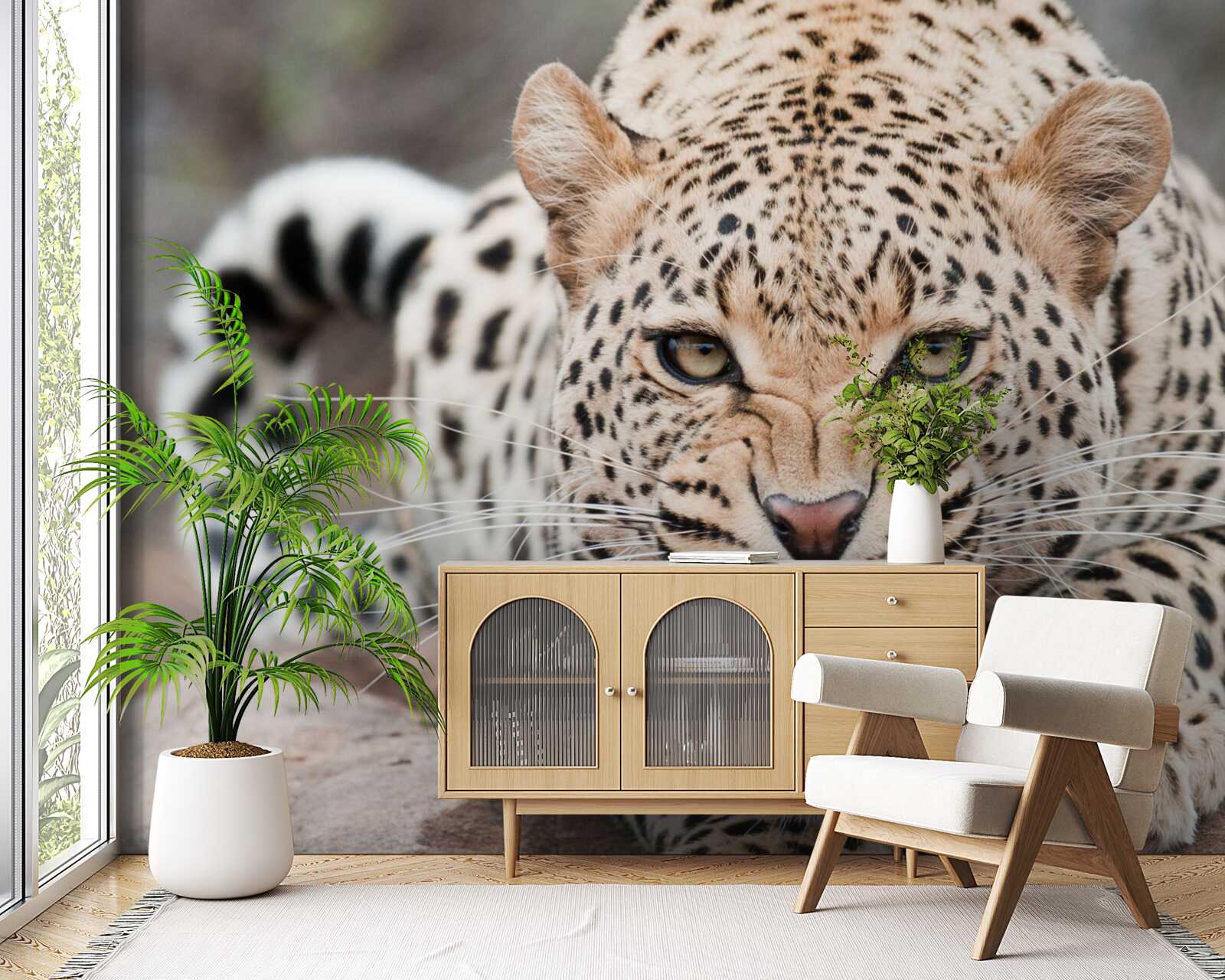 Fototapet leopard pe cale să facă saltul