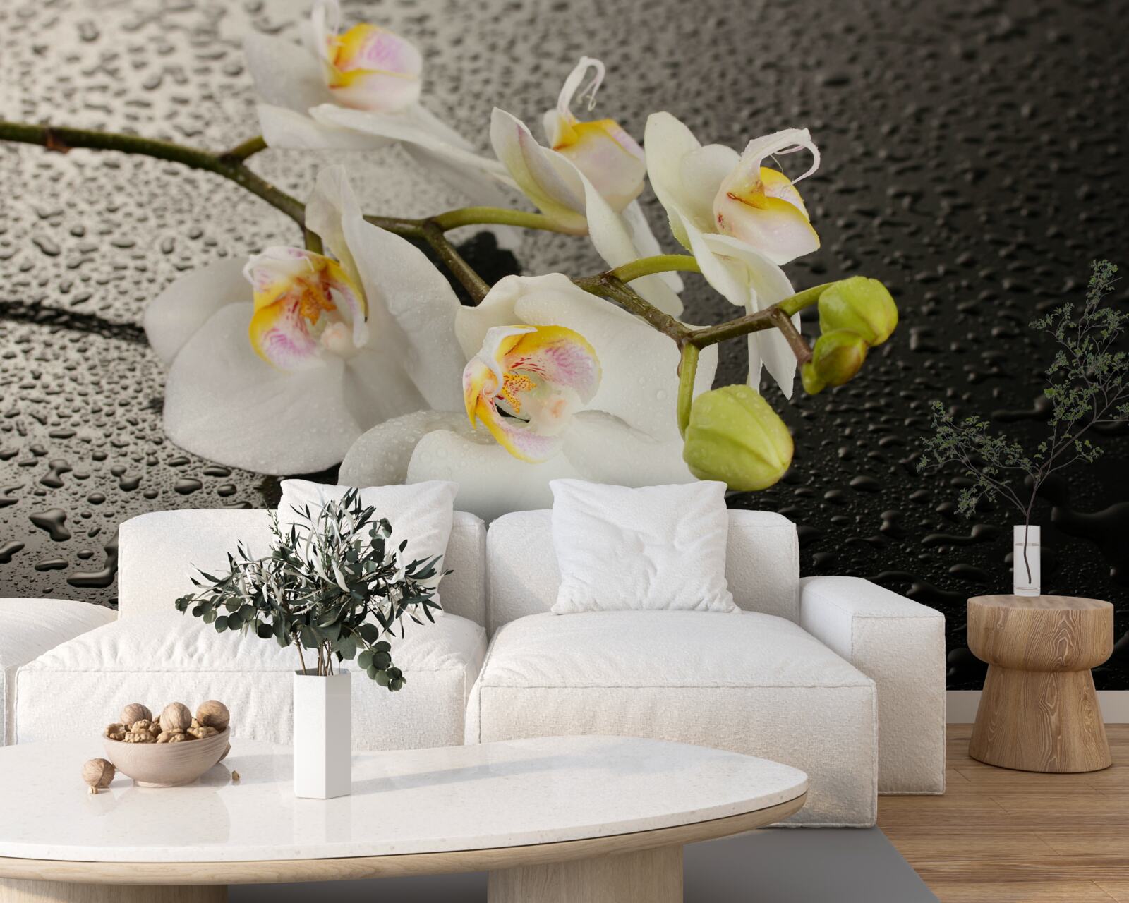 Fototapeta Śnieżnobiała orchidea po ulewnym deszczu