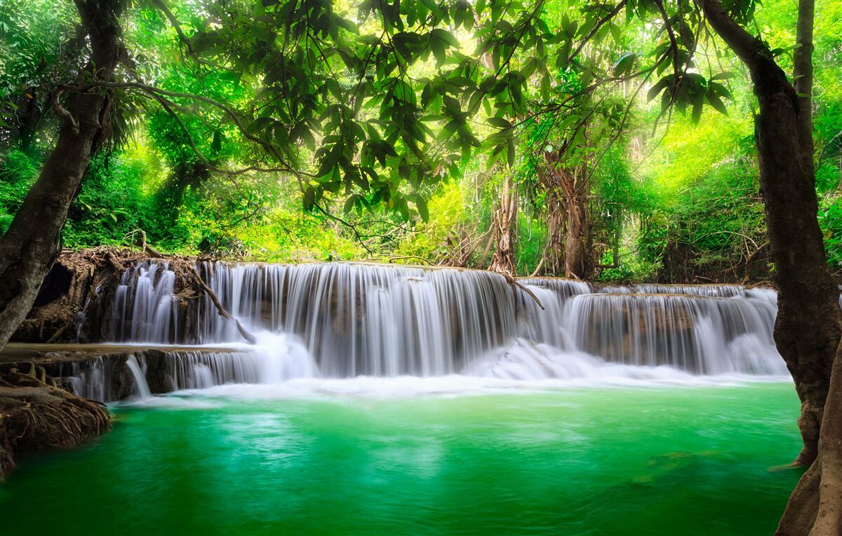 Fototapet cascada din pădure își hrănește apa cu culoarea smaraldului