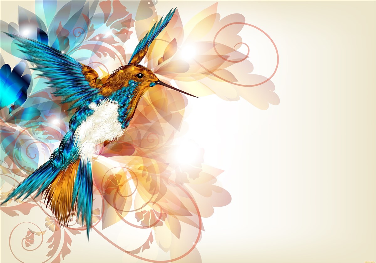 Fototapet colibri albastru imaterial