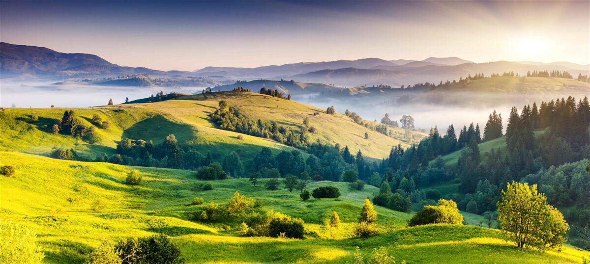 Fototapet pajiștile de munte prind viață în razele calde ale zorilor