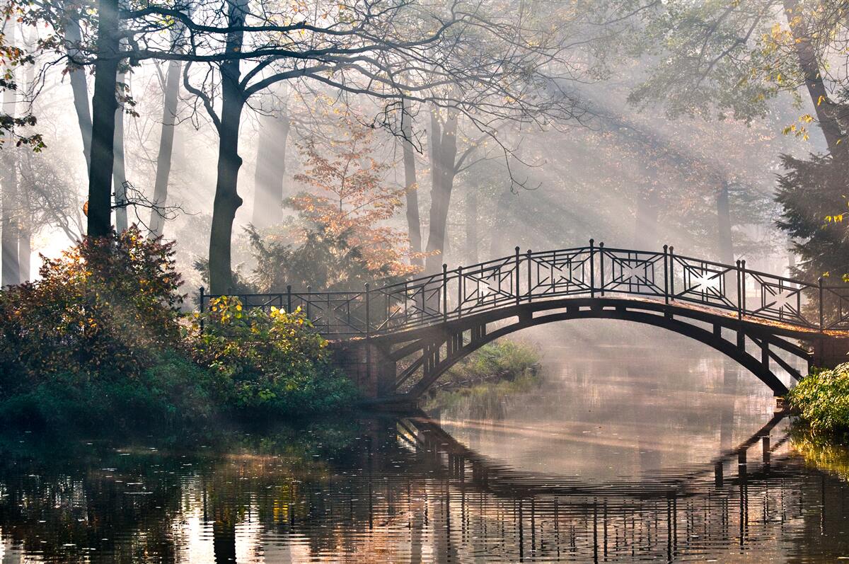 Fototapet reflecție a podului în râul forestier