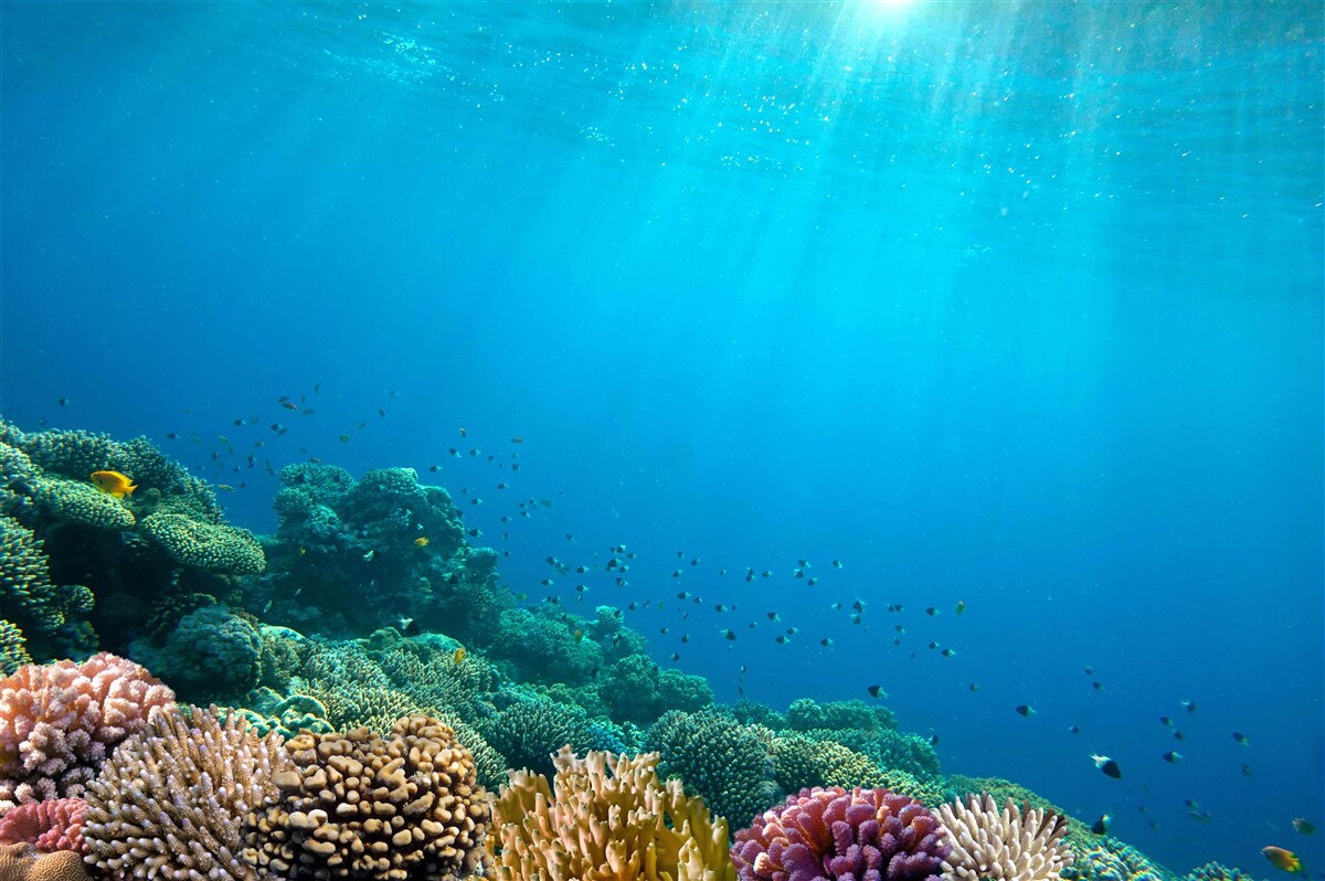 Fototapet adâncimea oceanelor