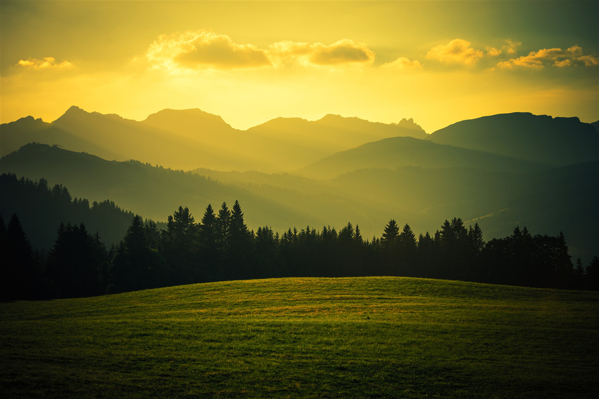 Fototapet uimitor apus de soare galben într-o pădure afumată de munte