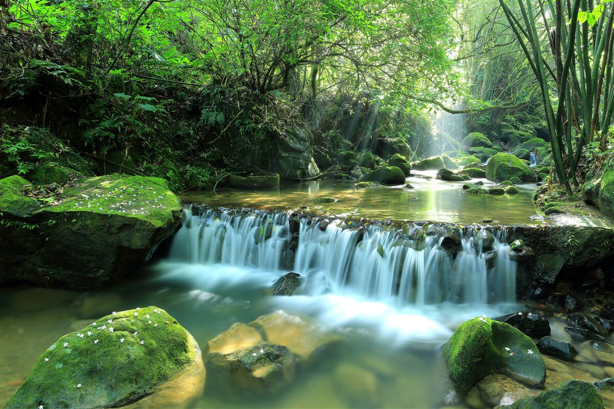 Fototapet cascada se revarsă zgomotos printre verdeață, luminată de razele soarelui