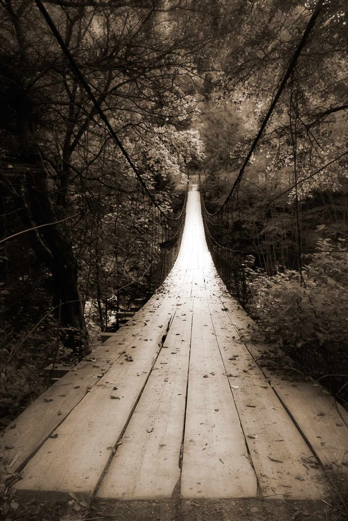 Fototapet pod de lemn care leagă iazul din zona forestieră