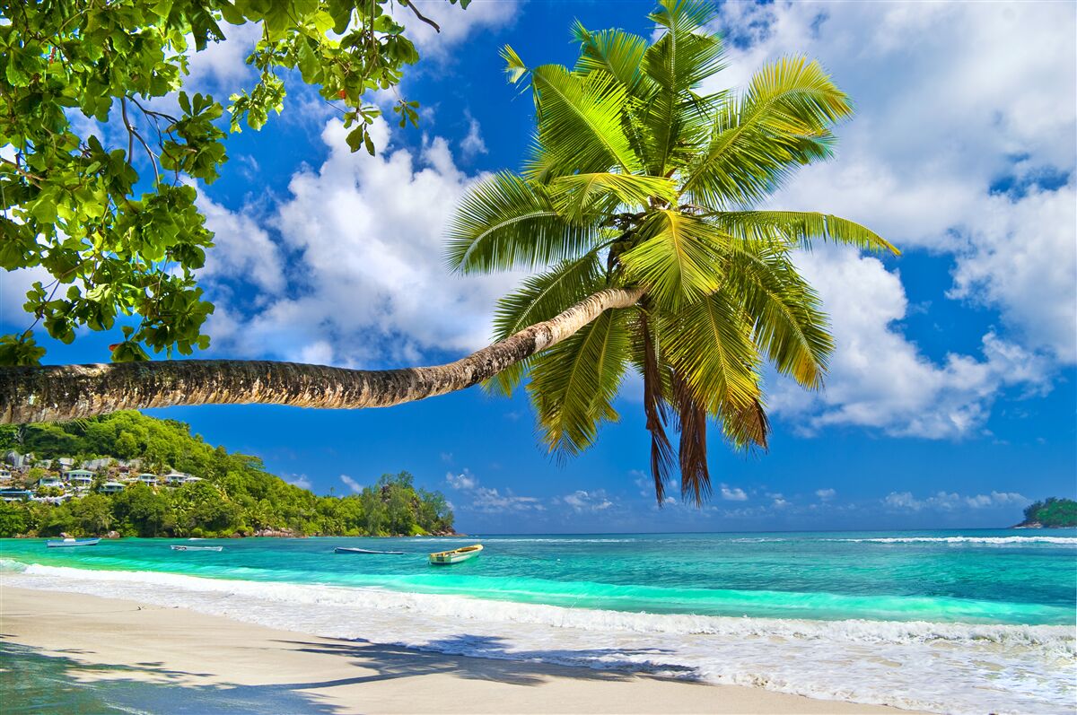 Fototapet natura fascinantă a insulelor seychelles