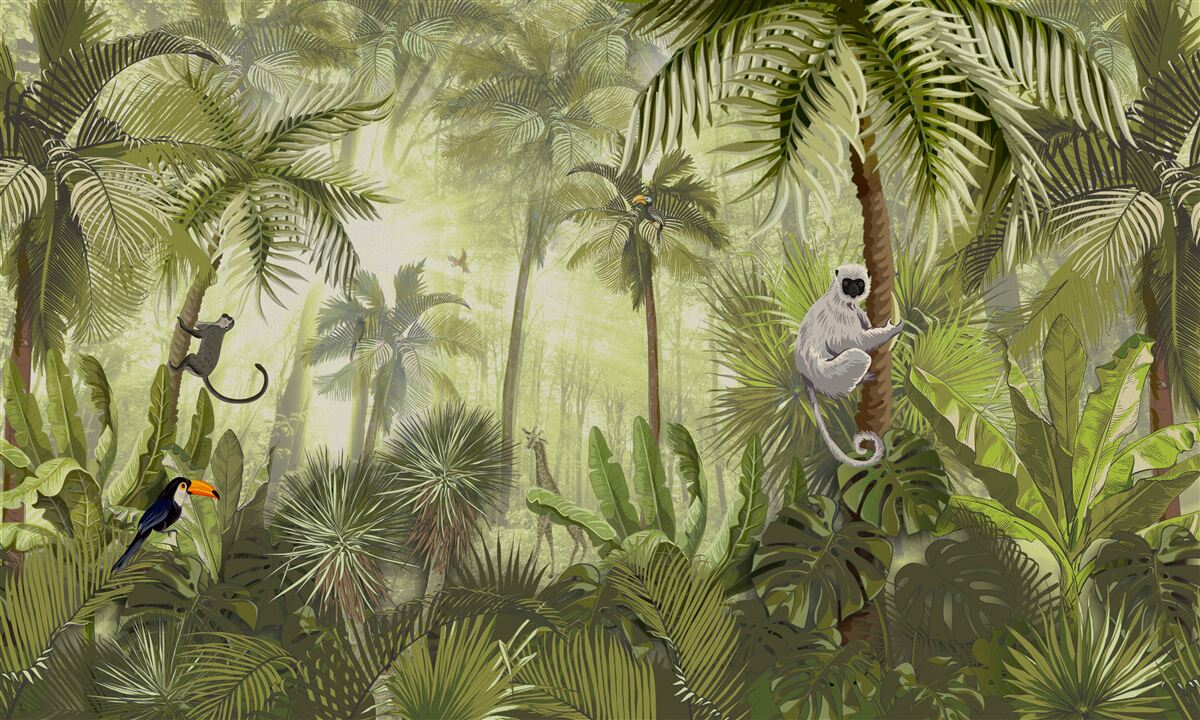 Fototapet ceață matinală în regiunile tropicale