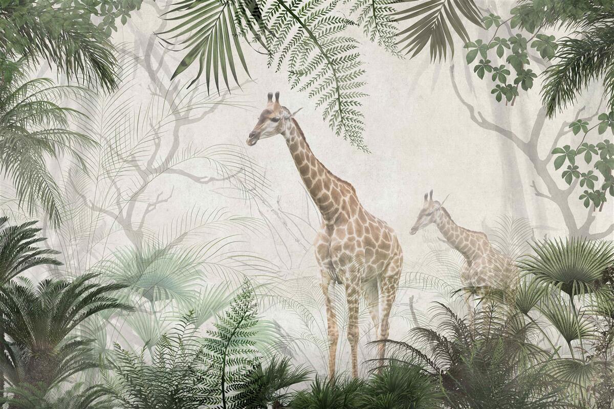 Fototapet o familie de girafe se plimbă pe un drum forestier