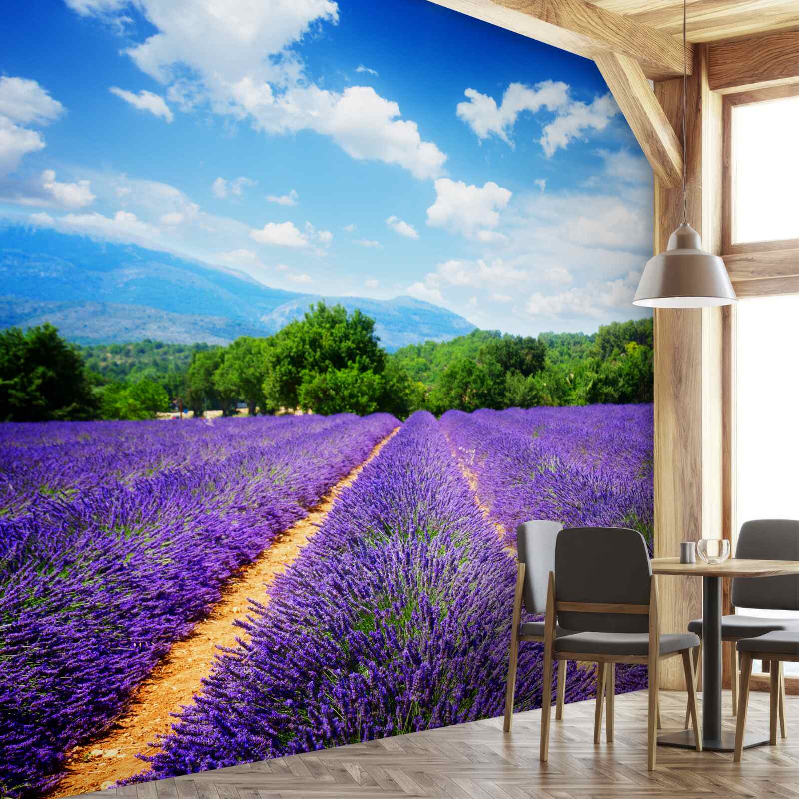 Fototapet o grădină de lavandă înflorită care contrastează cu peisajul rural înconjurător