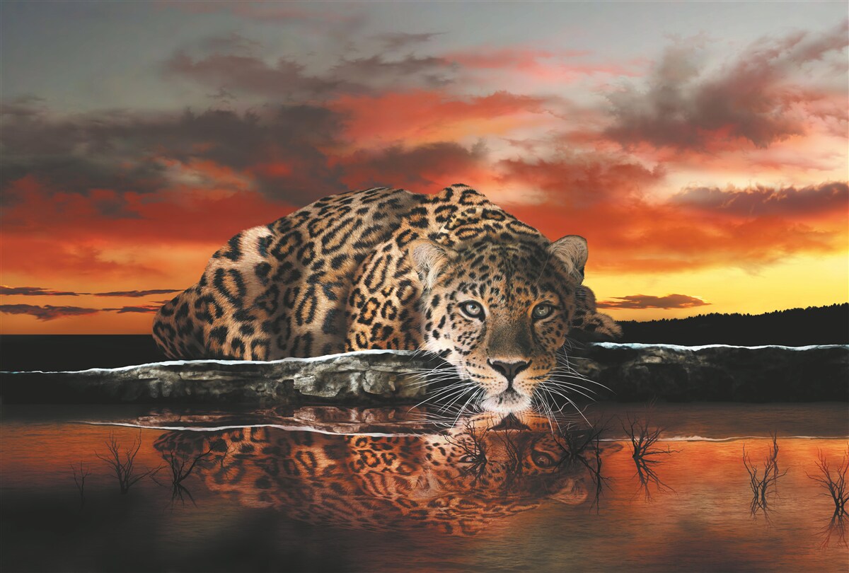Fototapet Un iaz la orizont, pictat în culorile apusului de soare, iar lângă el un ghepard