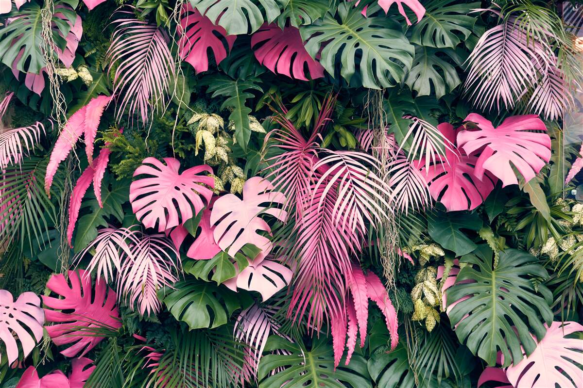 Fototapet explozia florei tropicale